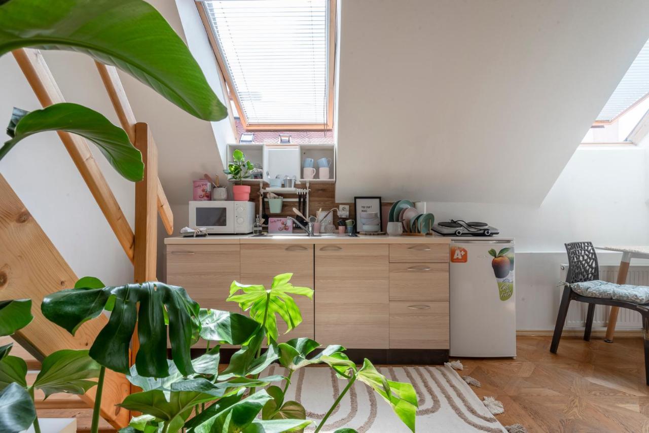 Beethoven Apartman *